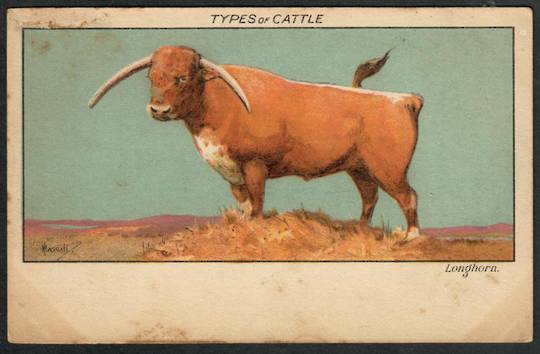 LONGHORN BULL from the series "TYpes of Cattle" Coloured Postcard. - 441447 - Postcard