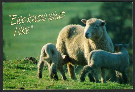 EWE Know what I like. Modern Coloured Postcard. - 441451 - Postcard