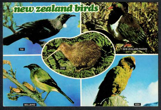 NEW ZEALAND Birds. Modern Coloured Postcard. Montage. - 443530 - Postcard