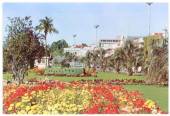 Modern Coloured Postcard by Gladys Goodall of the Gardens on the Strand Tauranga. - 444005 - Postcard
