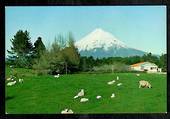 Modern Coloured Postcard by Gladys Goodall of Mt Egmont - 444008 - Postcard