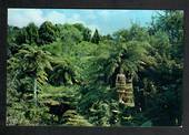 Modern Coloured Postcard by Gladys Goodall of Fairy Springs Rotorua. - 444042 - Postcard