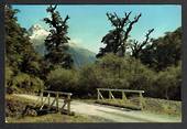 Modern Coloured Postcard by Gladys Goodall of Mt Lyttle Hollyford Valley. - 444110 - Postcard