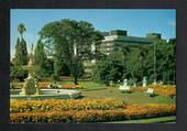 ALBERT PARK Auckland Modern Coloured Postcard by Gladys Goodall - 444148 - Postcard