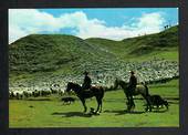 Modern Coloured Postcard by Gladys Goodall of a sheep muster in New Zealand. - 444167 - Postcard