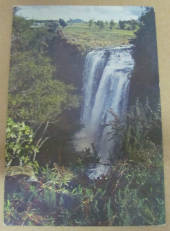 Modern Coloured Postcard by Gladys Goodall of Whangarei Falls. - 444212 - Postcard