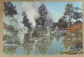 Modern Coloured Postcard by Gladys Goodall of the Thermal Vents in the Government Gardens Rotorua. - 444236 - Postcard