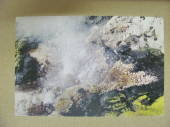 Modern Coloured Postcard by Gladys Goodall of Waimangu Thermal Reserve. - 444261 - Postcard