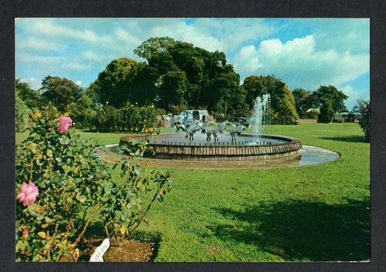Modern Coloured Postcard by Gladys Goodall of Rose Gardens Te Awamutu. - 444272 - Postcard