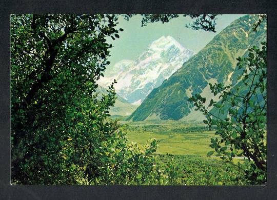 Modern Coloured Postcard by Gladys Goodall of Mt Cook from Glencoe Walk. - 444282 - Postcard