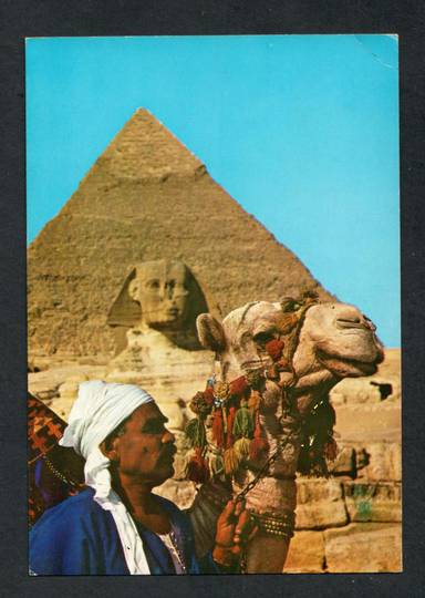 Modern Coloured Postcard of Camel near the Sphinx. - 444289 - Postcard