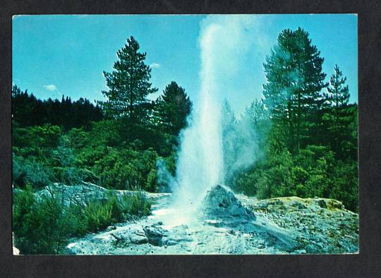 Modern Coloured Postcard by Gladys Goodall of Lady Knox Geyser Waiotapu Rotorua. - 444297 - Postcard