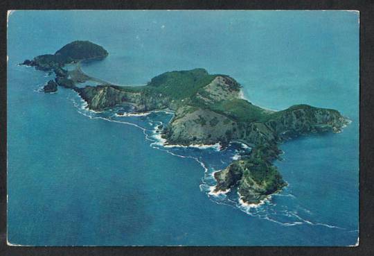 Modern Coloured Postcard by Gladys Goodall of Roberton Island Bay of Islands. - 444305 - Postcard