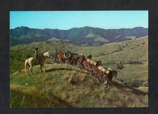 Modern Coloured Postcard by Gladys Goodall of Packing Out at Tikitiki Station East Coast. - 444308 - Postcard