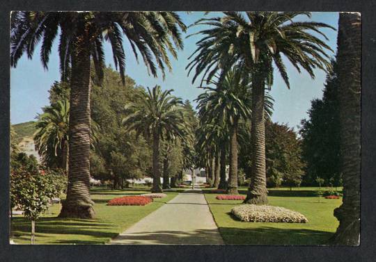 Modern Coloured Postcard by Gladys Goodall of Anzac Gardens Nelson. - 444312 - Postcard