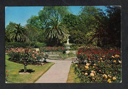 Modern Coloured Postcard by Gladys Goodall of the Rose Gardens Queens Gardens Nelson. - 444313 - Postcard