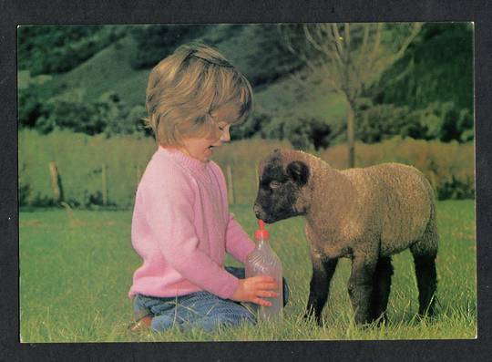 Modern Coloured Postcard by Gladys Goodall of Pet Suffolk Lamb. - 444339 - Postcard
