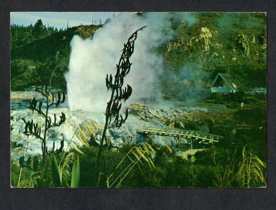 Modern Coloured Postcard by Gladys Goodall of Pohutu Geyser. - 444396 - Postcard