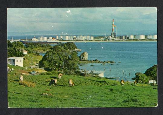 Modern Coloured Postcard by Gladys Goodall of Marsden Point Whangarei. - 444403 - Postcard