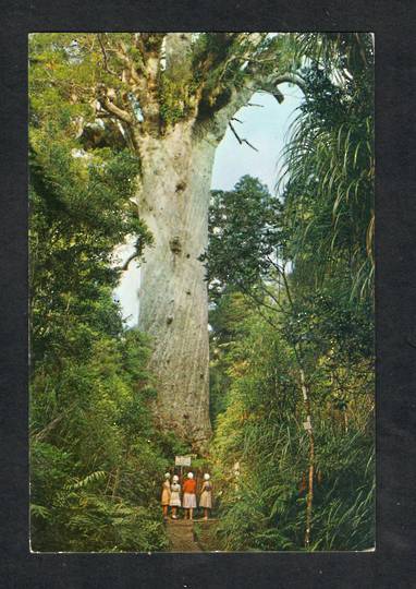 Modern Coloured Postcard by Gladys Goodall of Tane Mahuta Waipoua Forest. Take 2. Four people. - 444405 - Postcard