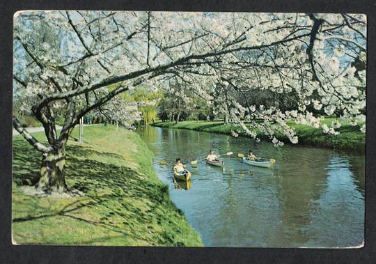 Modern Coloured Postcard by Gladys Goodall of Avon River Christchurch. - 444413 - Postcard