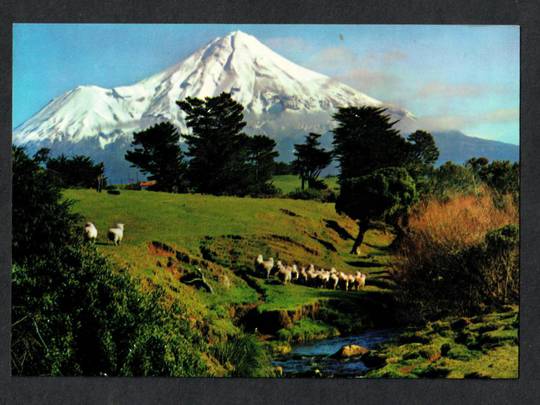Modern Coloured Postcard by Gladys Goodall of Mt Egmont. - 444415 - Postcard