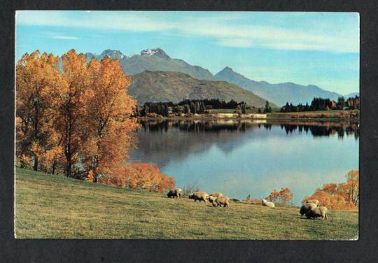 Modern Coloured Postcard by Gladys Goodall of Lake Hayes Queenstown. - 444418 - Postcard