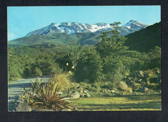 Modern Coloured Postcard by Gladys Goodall of Mount Ruapehu from the Chateau. - 444434 - Postcard