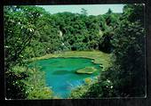 Modern Coloured Postcard by Gladys Goodall of Emerald Lake Waimangu Geyser Valley. - 444478 - Postcard