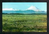 Modern Coloured Postcard by Gladys Goodall of Mt Ngauruhoe Mt Tongariro. Sheep in the foreground. - 444552 - Postcard