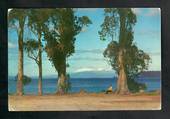 Modern Coloured Postcard by Gladys Goodall of the mountains from Taupo. - 444554 - Postcard