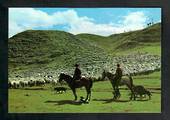 Modern Coloured Postcard by Gladys Goodall of Sheep Muster. - 444569 - Postcard