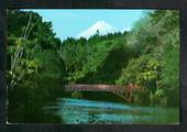 Modern Coloured Postcard by Gladys Goodall of Mt Egmont from Pukekura Park. - 444628 - Postcard
