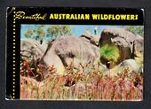 AUSTRALIA Lettercard Beautiful Australia Wildflowers. - 444687 - PostalHist