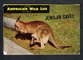 Coloured Lettercard of Jenolan Caves. - 444696 - Postcard