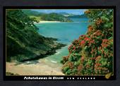 NEW ZEALAND Modern Coloured Postcard of Pohutukawas in bloom. - 444751 - Postcard