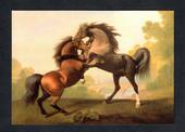 Modern Coloured Postcard of fighting stallions. - 444793 - Postcard