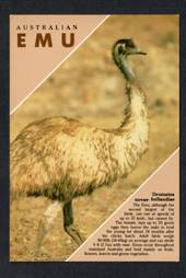 AUSTRALIA Modern Coloured Postcard of Emu. - 444810 - Postcard