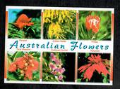 AUSTRALIA Modern Coloured Postcard of Australian Flowers. - 444892 - Postcard
