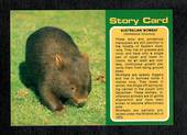 Modern Coloured Postcards of Wombat and Kangaroo. Two cards. - 444930 - Postcard