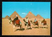 EGYPT Modern Coloured Postcard of Camels at the Pyramids. - 444988 - Postcard