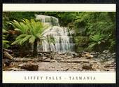 TASMANIA Modern Coloured Postcard of Liffey Falls. - 444990 - Postcard