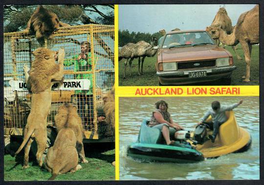 AUCKLAND LION Safari Park. Modern Coloured Postcard. Montage. Crease. - 445243 - Postcard