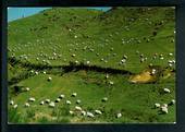Modern Coloured Postcard by D I Therkleson of sheep on hill country. - 445903 - Postcard