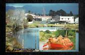 Modern Coloured postcard by PPL of Hastings of Katikati. - 446351 - Postcard