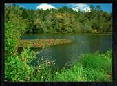 Modern Coloured Postcard by Waihi Arts Centre of Mine Lake. - 446507 - Postcard