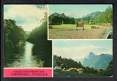 Modern Coloured Postcard by Logan. Montage of Coromandel Forest Park. - 446520 - Postcard