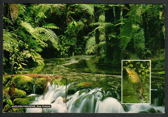 ANGLERS PARADISE New Zealand Modern Coloured Postcard. - 446652 - Postcard