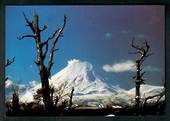 Modern Coloured Postcard by Eric Young of Mt Ngauruhoe. - 446829 - Postcard