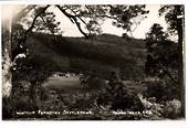 Real Photograph by T G Palmer & Son of Waipoua Forest Settlement. - 44766 -